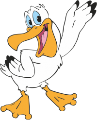 pelikaan